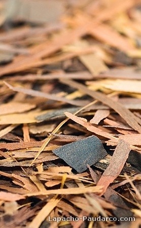 Lapacho - pau d'arco bark